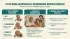 Guamanian ALS-Parkinsonism-Dementia and Memory Care: A Family Guide
