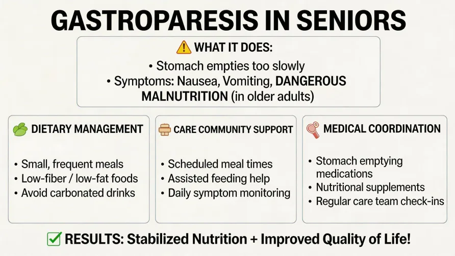Gastroparesis and Senior Living: When Stomach Paralysis Threatens Nutrition