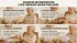 Liver Cirrhosis and Senior Living: When Decompensated Liver Disease Requires Daily Care
