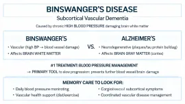Binswanger's Disease and Memory Care: What Families Need to Know About Subcortical Dementia